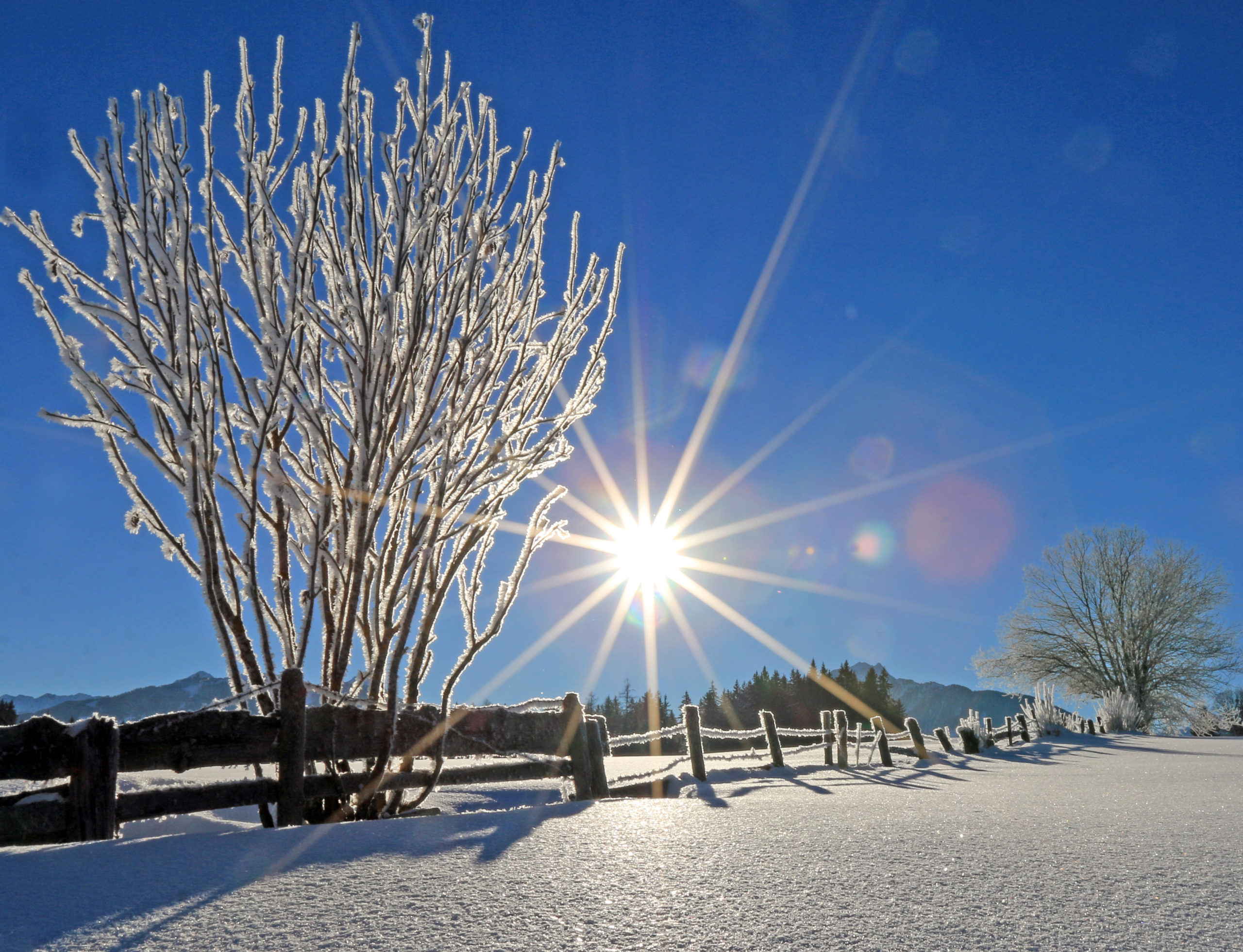 3163 Winter Sonnenbild scaled